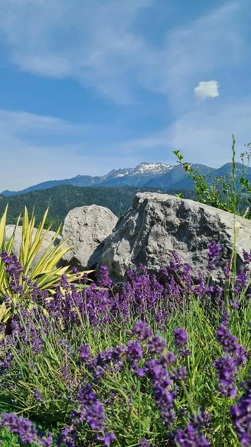 Le Refuge Du Montagnard Bed & Breakfast Marthod France